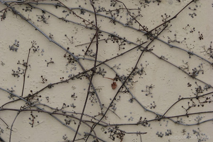 Chartres_ Osaka (2)